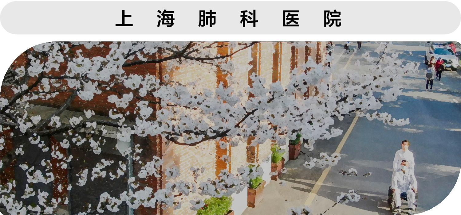 202606221524421782113082429354.jpg 8-肺科.jpg